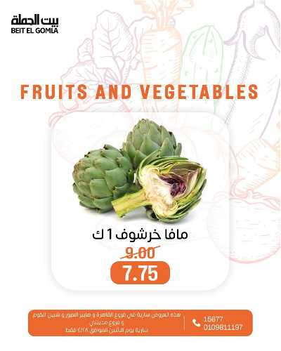 عروض الاثنين من بيت الجمله  16