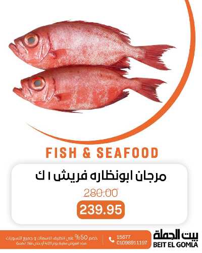 عروض الثلاثاء على الاسماك من بيت الجمله 14