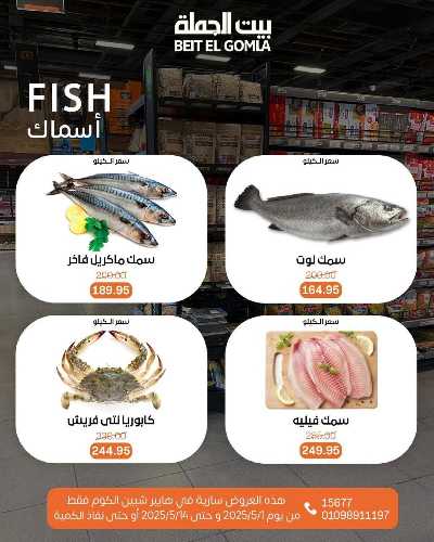   عروض الاحتفال السنوي  من بيت الجمله - شبين الكوم 14