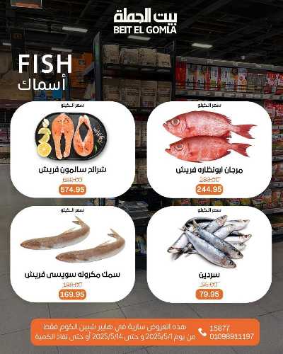   عروض الاحتفال السنوي  من بيت الجمله - شبين الكوم 15