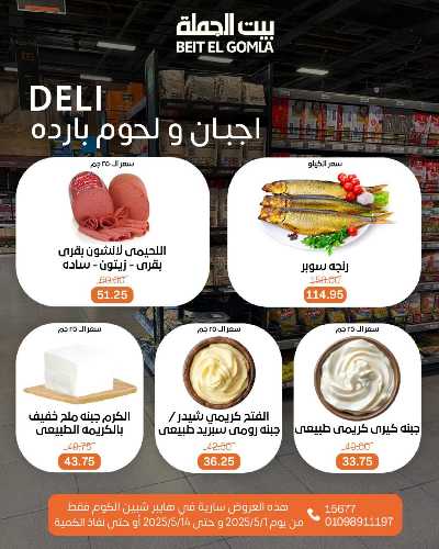   عروض الاحتفال السنوي  من بيت الجمله - شبين الكوم 3