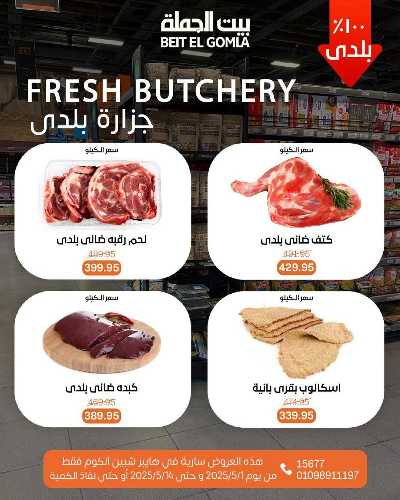   عروض الاحتفال السنوي  من بيت الجمله - شبين الكوم 9