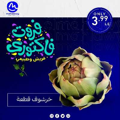 فاكهة الصيف  من اولاد المحلاوي 13