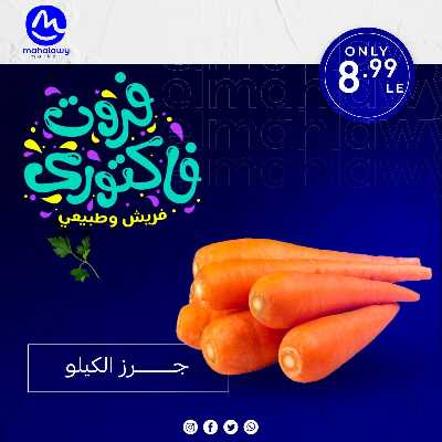 فاكهة الصيف  من اولاد المحلاوي 14