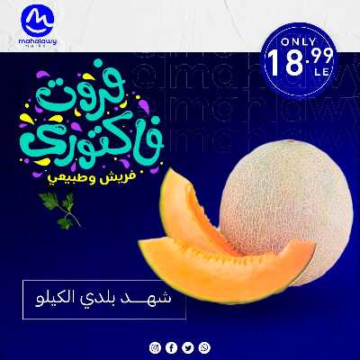 فاكهة الصيف  من اولاد المحلاوي 16