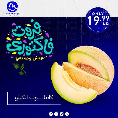 فاكهة الصيف  من اولاد المحلاوي 17