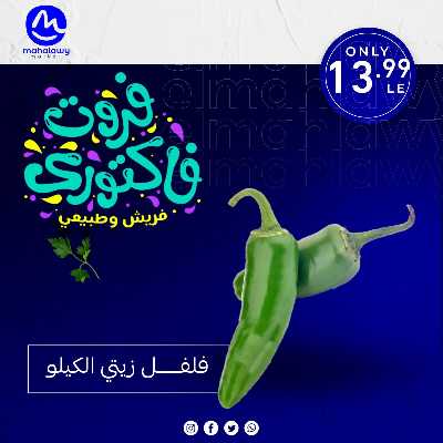 فاكهة الصيف  من اولاد المحلاوي 24