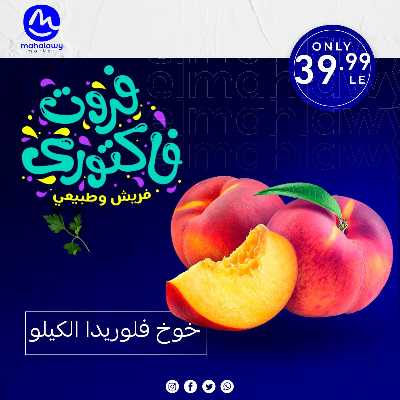 فاكهة الصيف  من اولاد المحلاوي 3