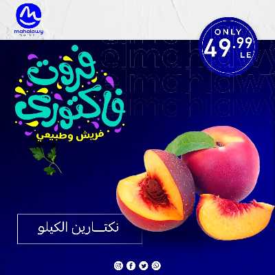 فاكهة الصيف  من اولاد المحلاوي 31