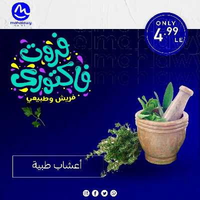 فاكهة الصيف  من اولاد المحلاوي 32