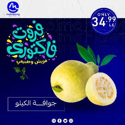 فاكهة الصيف  من اولاد المحلاوي 4