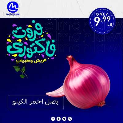 فاكهة الصيف  من اولاد المحلاوي 5