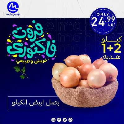فاكهة الصيف  من اولاد المحلاوي 6