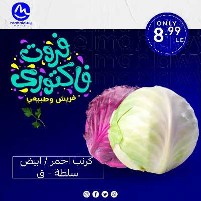 فاكهة الصيف  من اولاد المحلاوي 9