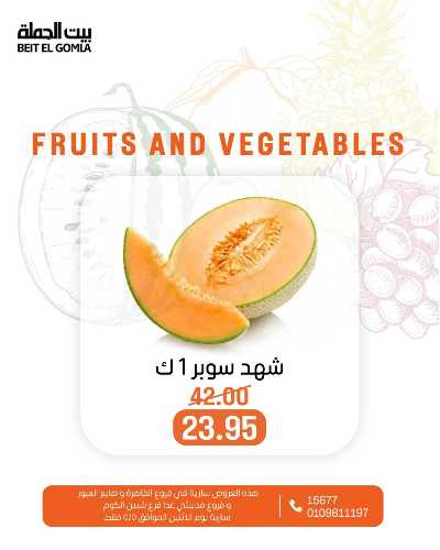 عروض الاثنين من بيت الجمله  11