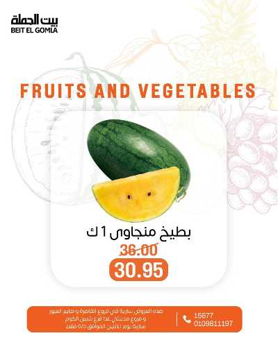 عروض الاثنين من بيت الجمله  12