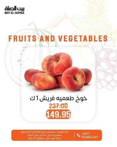 عروض الاثنين من بيت الجمله  7