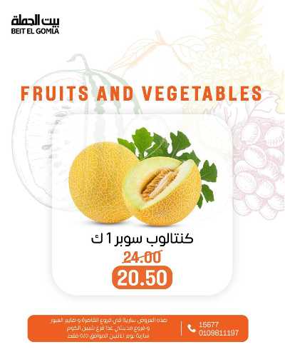 عروض الاثنين من بيت الجمله  9