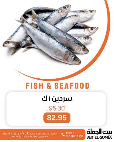 عروض الثلاثاء على الاسماك من بيت الجمله 10