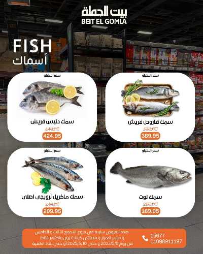   عروض الويك اند  من بيت الجمله  10
