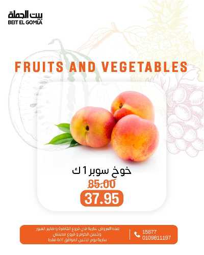 عروض الاثنين من بيت الجمله  8