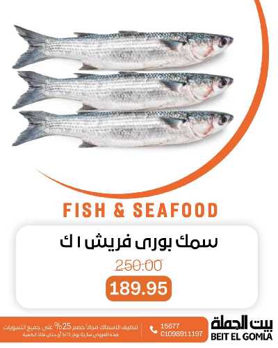 عروض الثلاثاء على الاسماك من بيت الجمله 5