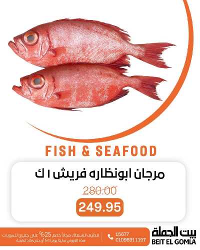 عروض الثلاثاء على الاسماك من بيت الجمله 8