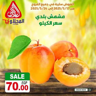 عرض الفريش من المحلاوى 11
