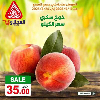 عرض الفريش من المحلاوى 13