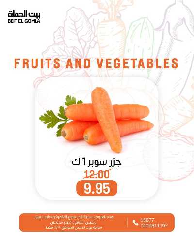 عروض الاثنين من بيت الجمله  11