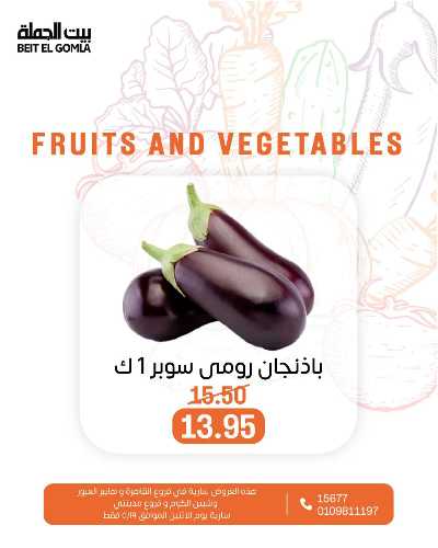 عروض الاثنين من بيت الجمله  12