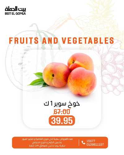 عروض الاثنين من بيت الجمله  2