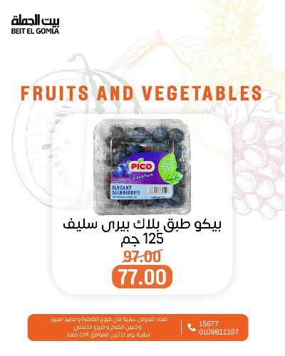 عروض الاثنين من بيت الجمله  7