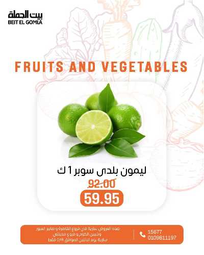 عروض الاثنين من بيت الجمله  9