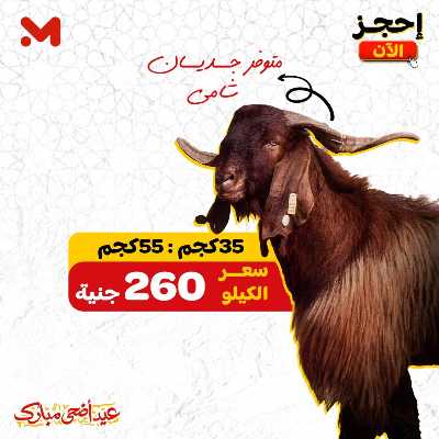 اسعار الاضاحي  من المحلاوى 6