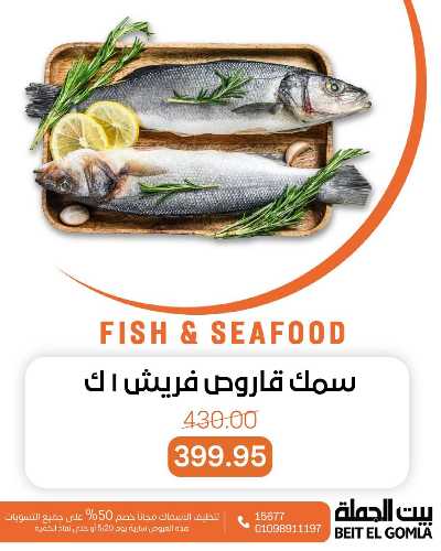 عروض الثلاثاء على الاسماك من بيت الجمله 12