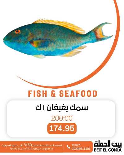 عروض الثلاثاء على الاسماك من بيت الجمله 3