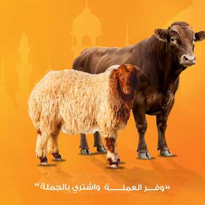  عروض عيد الاضحي من جمله ماركت 2