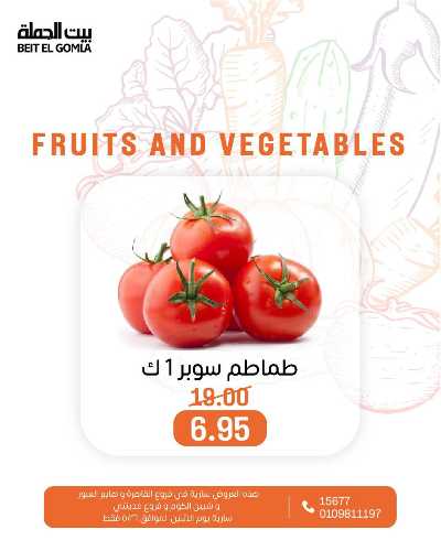 عروض الاثنين من بيت الجمله  11