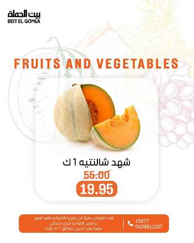 عروض الاثنين من بيت الجمله  6