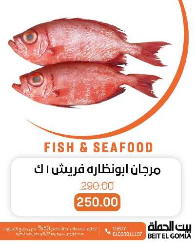 عروض الثلاثاء على الاسماك من بيت الجمله 8