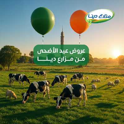 عروض عيد الاضحي من مزارع دينا 1