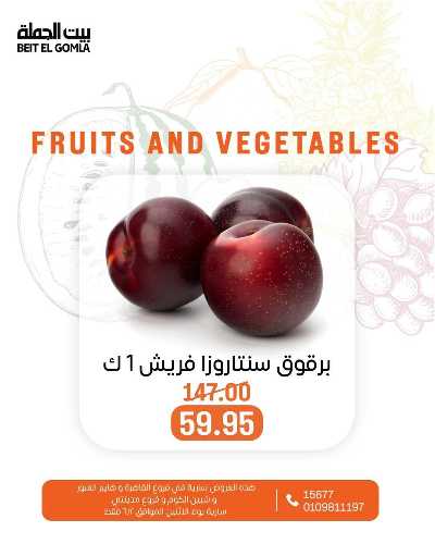 عروض الاثنين من بيت الجمله  2