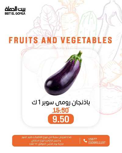 عروض الاثنين من بيت الجمله  23