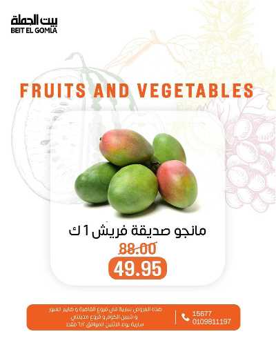 عروض الاثنين من بيت الجمله  5