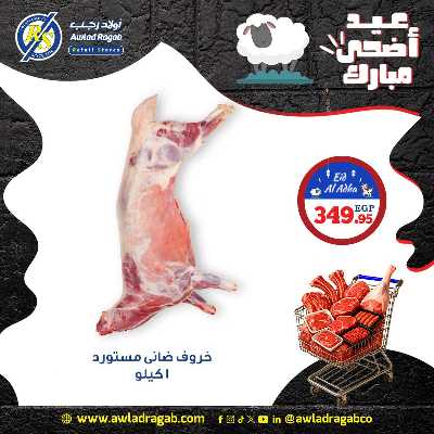 عروض الشوي من اولاد رجب  11