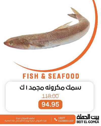 عروض الثلاثاء على الاسماك من بيت الجمله 10