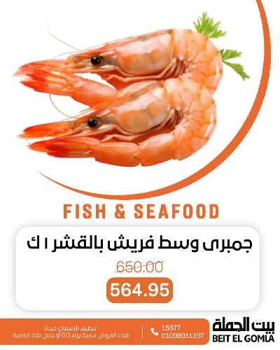 عروض الثلاثاء على الاسماك من بيت الجمله 3