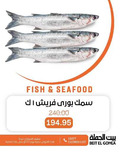 عروض الثلاثاء على الاسماك من بيت الجمله 9