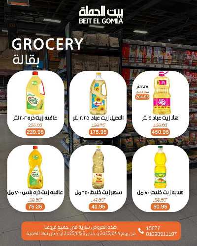   عروض الصيف  من بيت الجمله  23